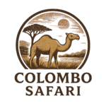 Colombo Safari